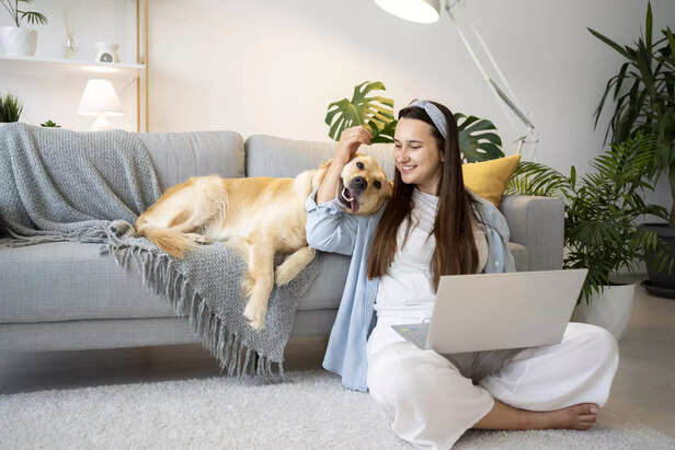 Choosing pet friendly furniture