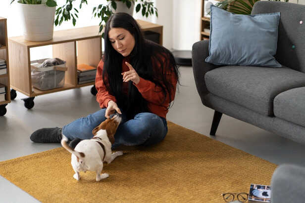 Short Indoor Training