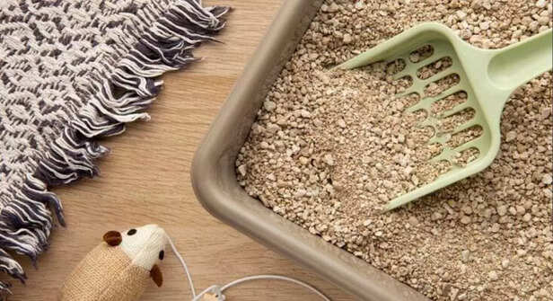 The right litter doesn’t hide smells it stops them at source