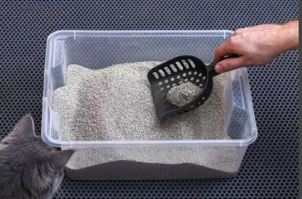 Five minutes a day keeps bad smells away..