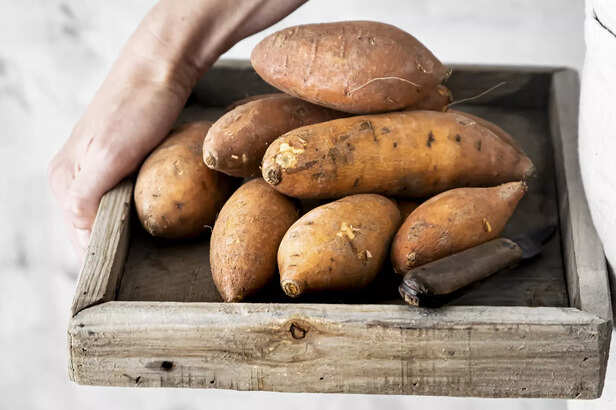 Sweet potatoes - Nutrient rich human superfood for dog