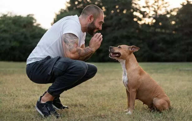 Dogs read emotions faster than words..