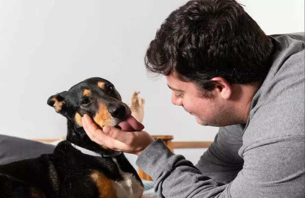 Calm energy creates calm behaviour..