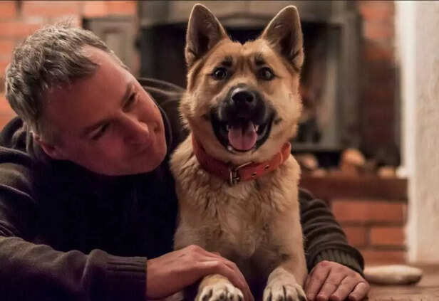 Reward what you want to see again..