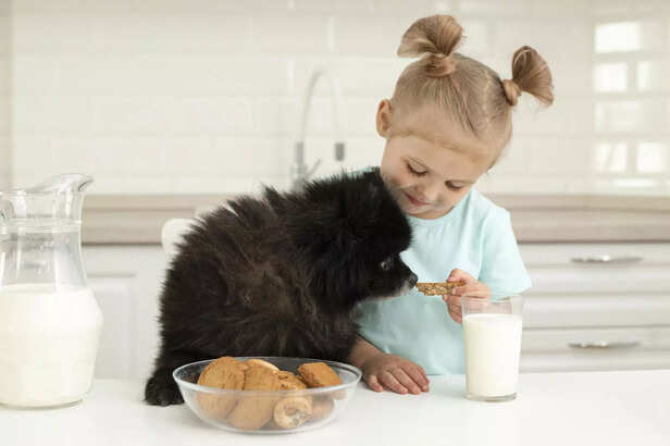 What happens when dog drink milk ?