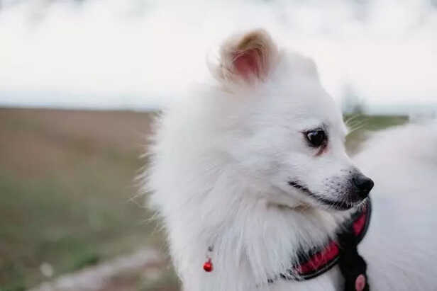 Mild anxiety or stress