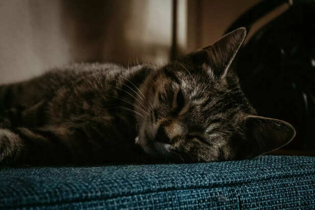 Sleeping healthy is must