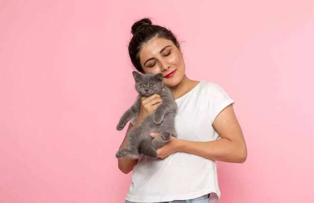 A stimulated mind is a peaceful mind..