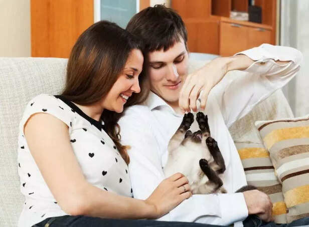 Happy pets need emotional care, not just food..