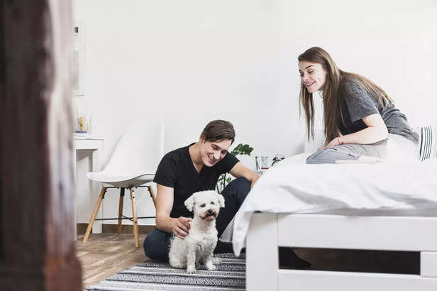 Pet Friendly Apartment Setup In Cities