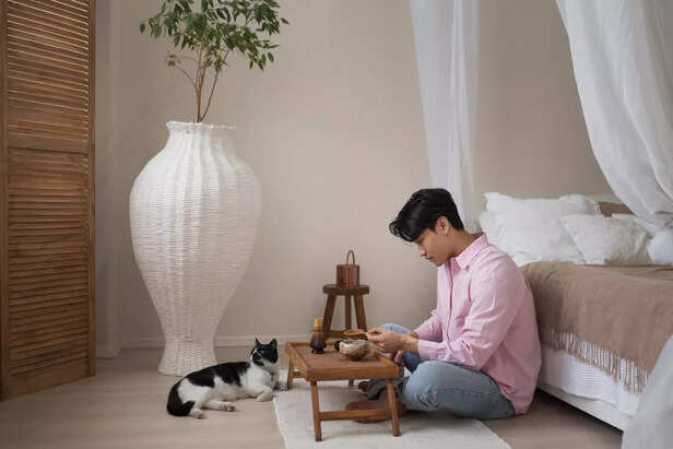 Creating a Calm Safe Zone For Pets