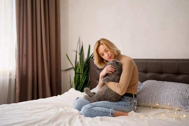 Essentials Amenities That Define Pet Friendly Housing