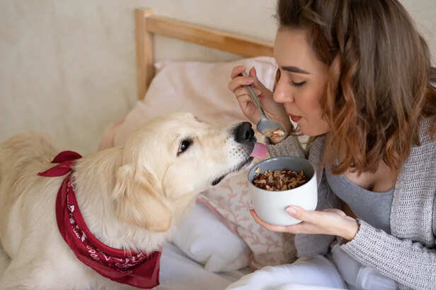 Raisins and Pet Health Risk