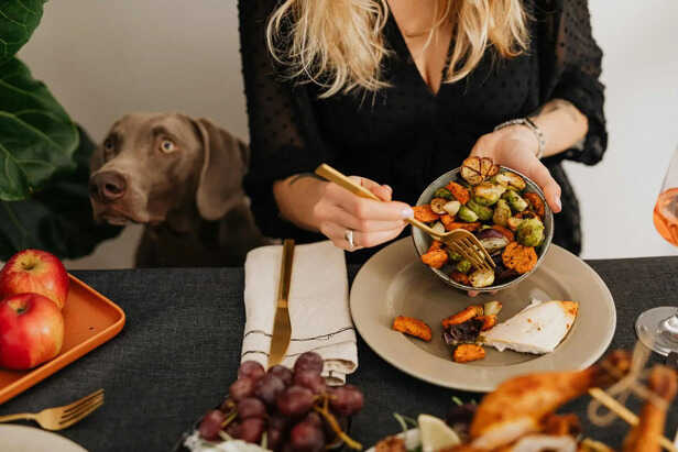 Nutrient-Rich Foods for Pets