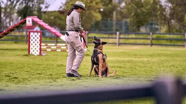 Punishing Instead of Guiding