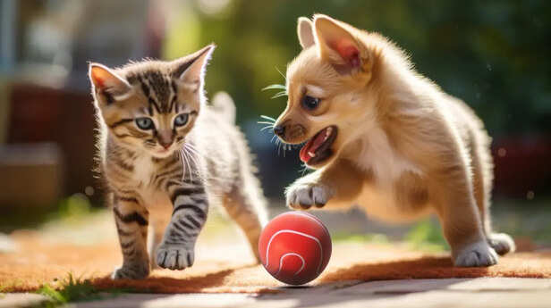 Understanding Body Language