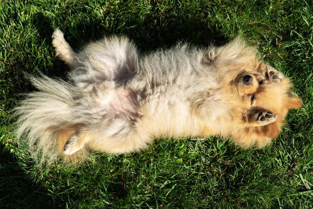 Sleep Position