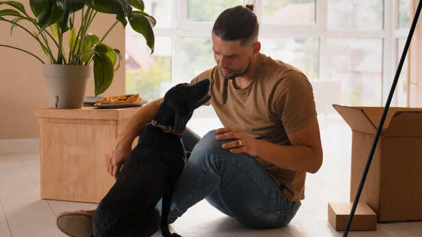 Dog Chooses You During Moments of Stress or Uncertainty