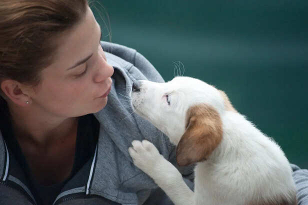 Human and Dog Making Gentle Eye Contact