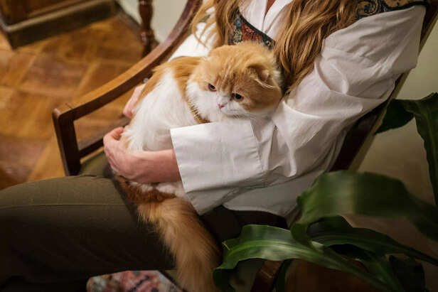 The Sweet Snuggler ( Sour
