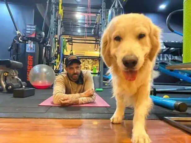 Image Source : Hrithik Ro