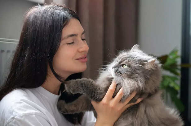 Woman Petting Her Cat