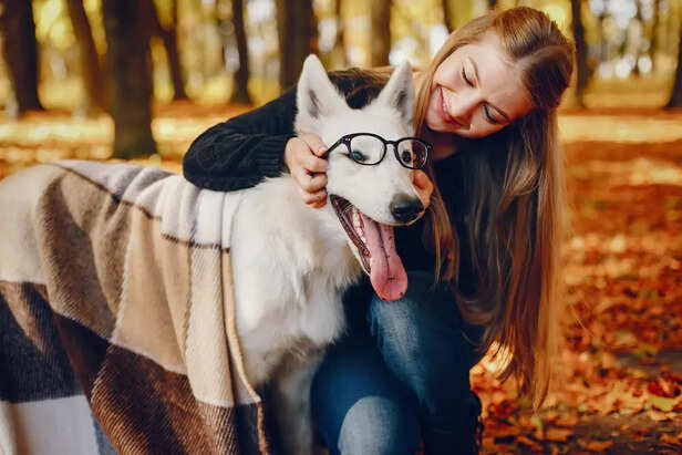 Pet as a Therapy