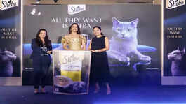 Why all they want is SHEB