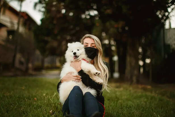 Image Div