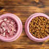 Gallery Detail: Raw Vs Kibble Which Dog Food Reigns Supreme