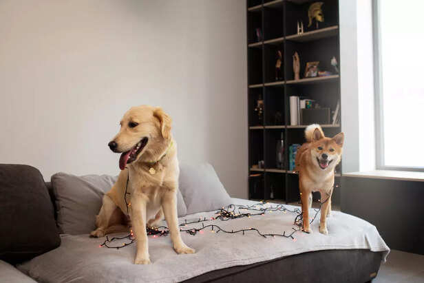 Image Div