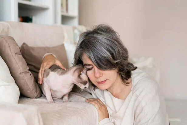 Emotional Support Animals