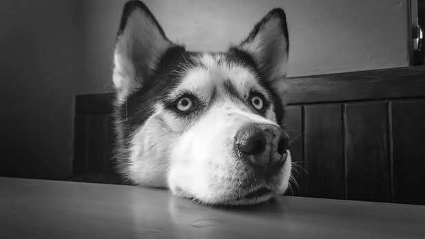 Image Div