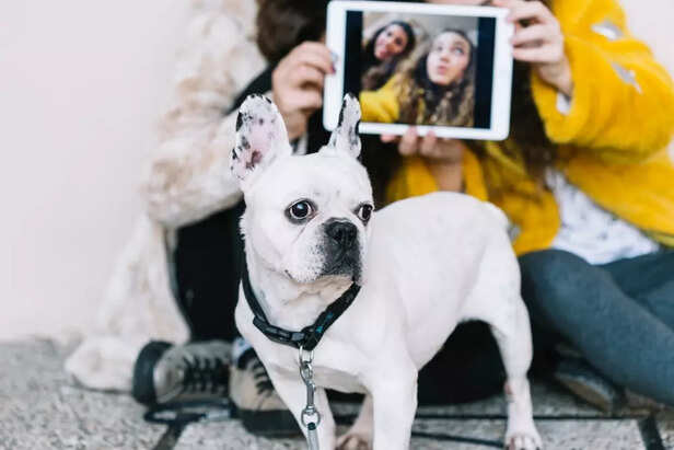 Image Div