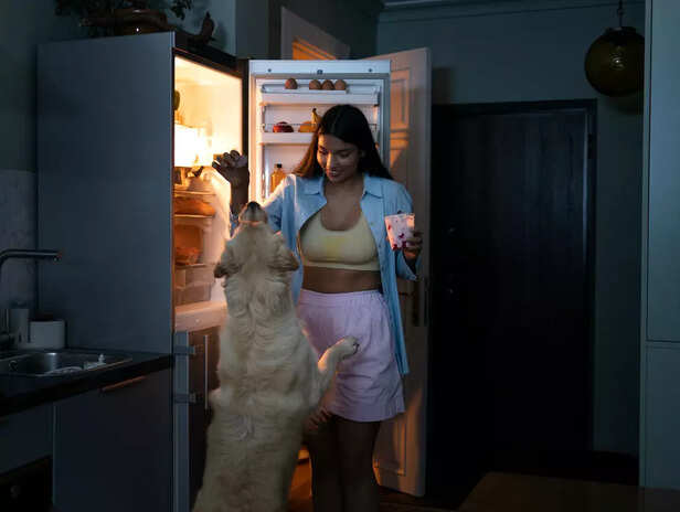 Freezing pet food