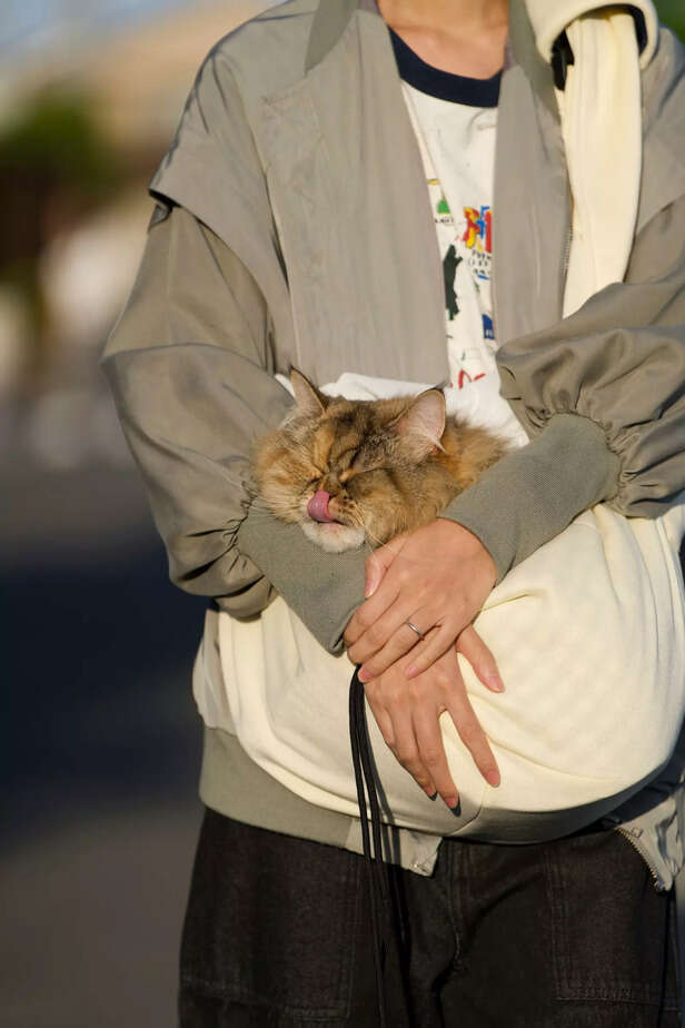 pet