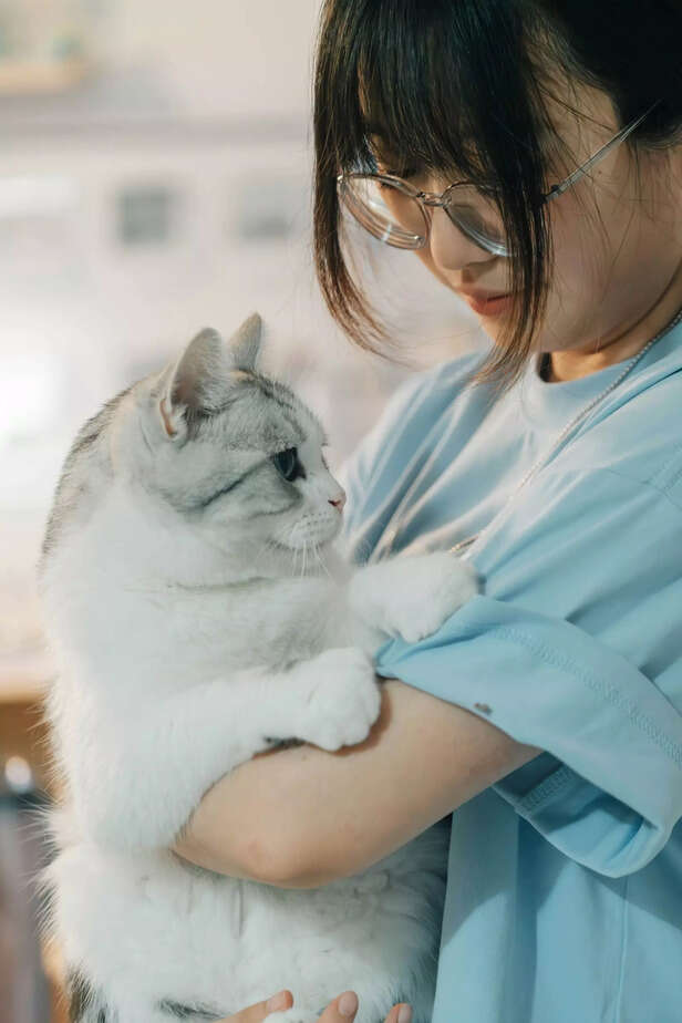 taking care of pet