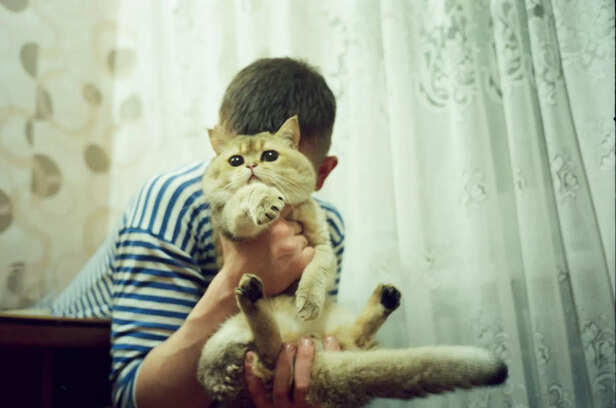 pet parenting