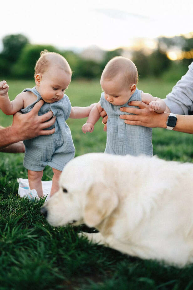 pet