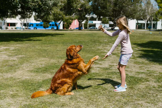 having fun with pets