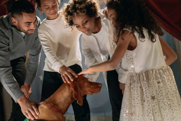 pet
