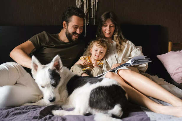 pet