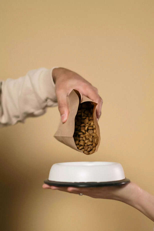 pet nutrition