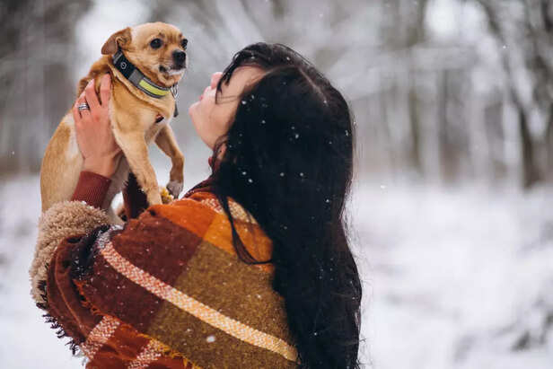 Winter Pet Care Tips for 