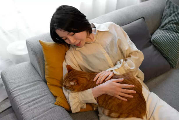 Seeking Comfort or Stress