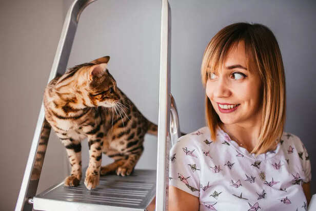 Cats personality