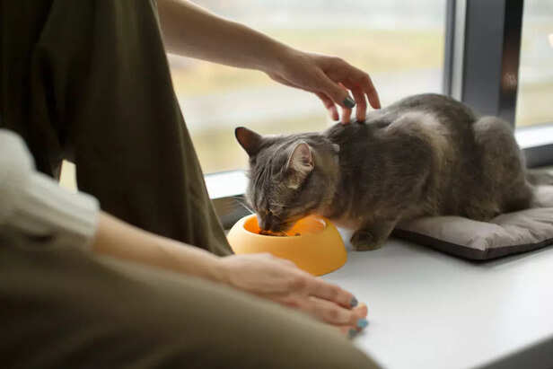 Showing a way of hunger