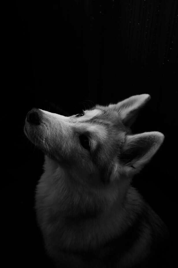 Image Div