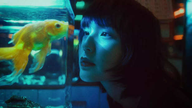 goldfish
