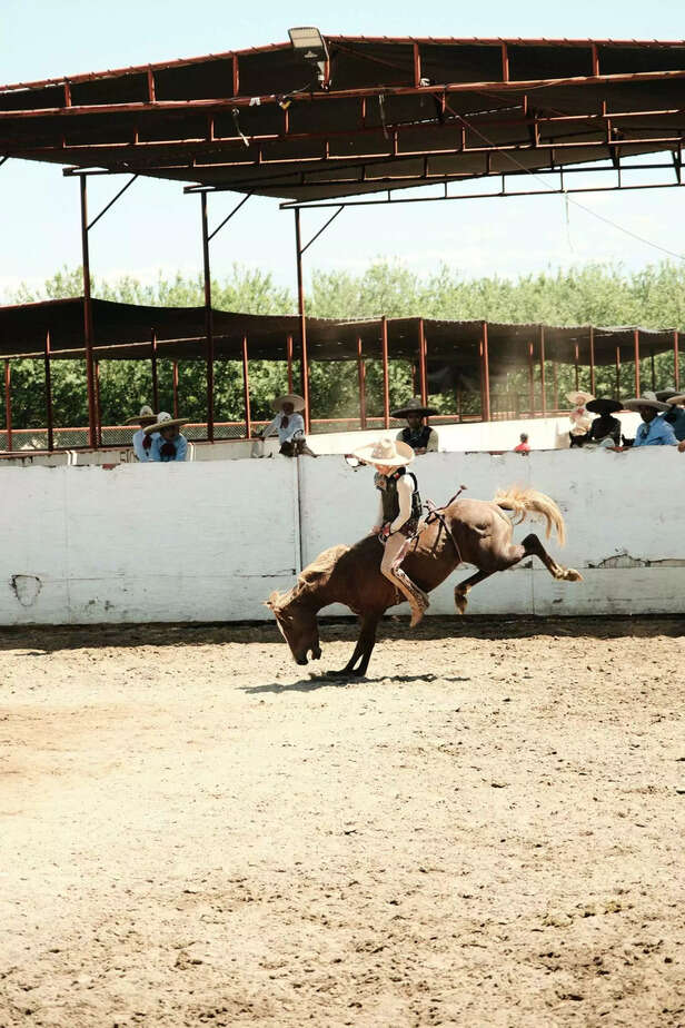 Horses kick in various wa